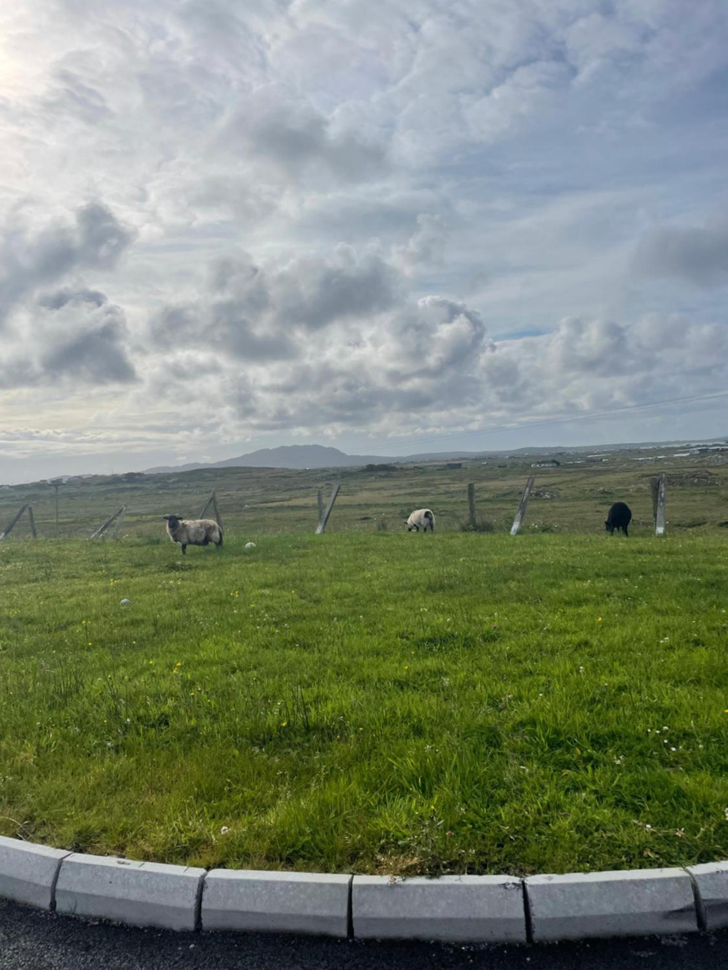 Ballyconneely House Голуэй Экстерьер фото
